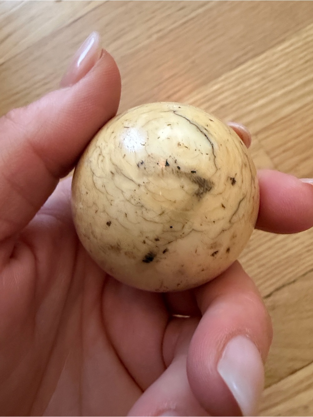 Antique Genuine Ivory Billiard Ball Pool Ball Victorian Era Estate Find no. 7